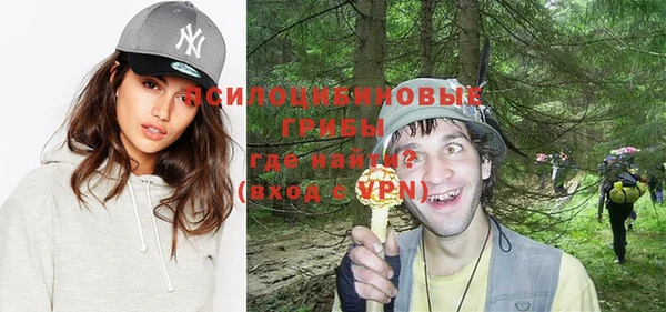 эйфоретик Зерноград