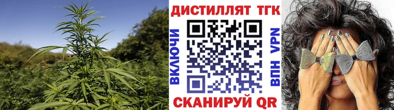 как найти   Иннополис  Дистиллят ТГК Wax 